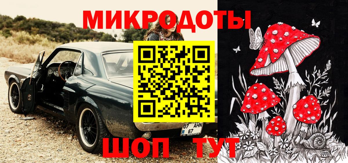Касимов  Галлюциногенные грибы прущие грибы  Вход с VPN 